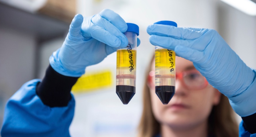 En Ecuador no existe la nueva cepa del COVID-19