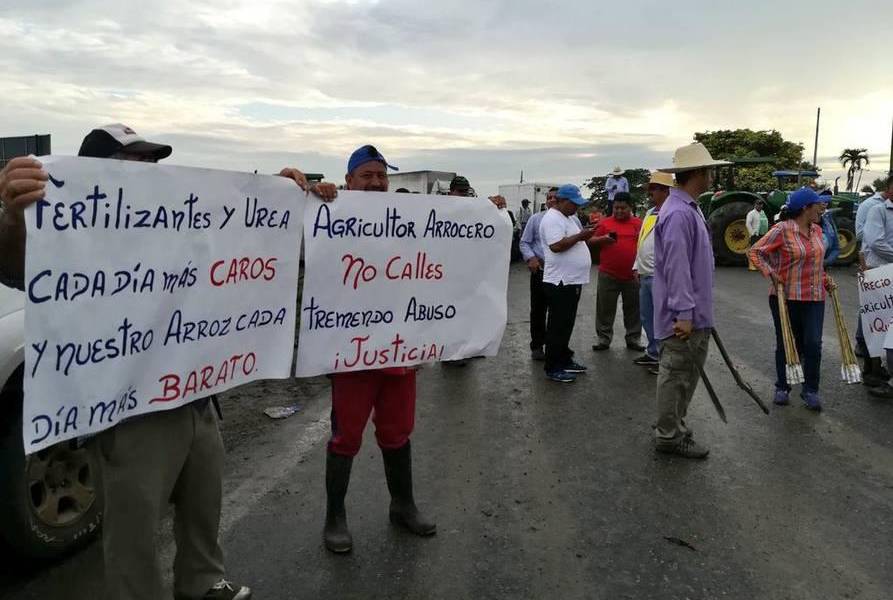 Registran nueva protesta de arroceros en Samborondón, Guayas