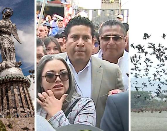 Los conciertos por las fiestas de Quito, la polémica por el vocal de los trabajadores en el IESS y la inspección de expertos extranjeros por las aves que ponen en riesgo a los aviones en Guayaquil, en este resumen.