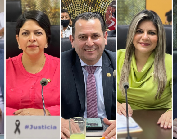 Cinco exconsejeros de Participación Ciudadana buscan la reelección.