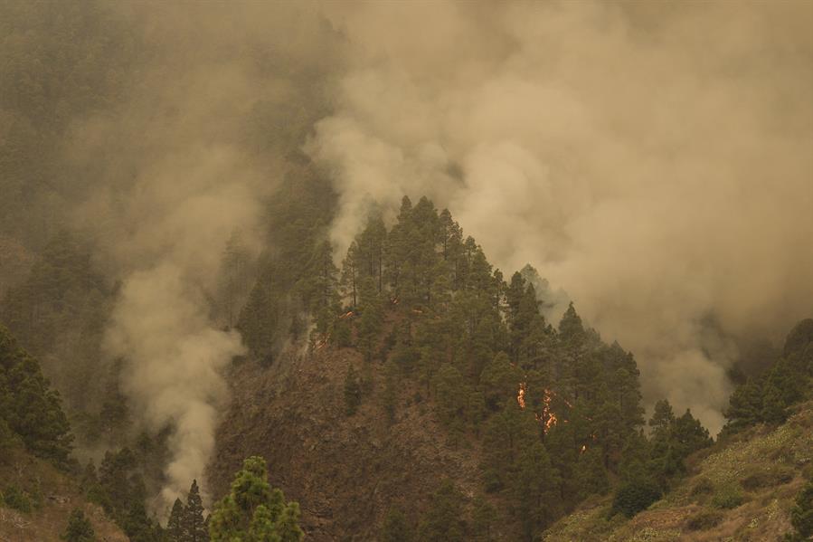 El gobierno español declarará a Tenerife como zona catastrófica por los incendios