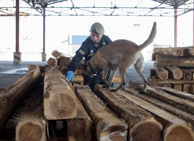 Guayaquil, en el mapa mundial de las rutas del narcotráfico