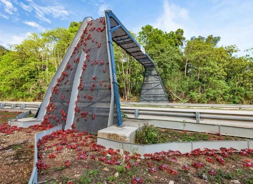 Parque Nacional Isla Navidad.