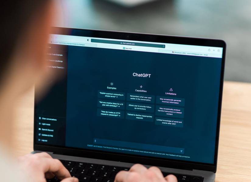 Imagen de esta IA en funcionamiento.