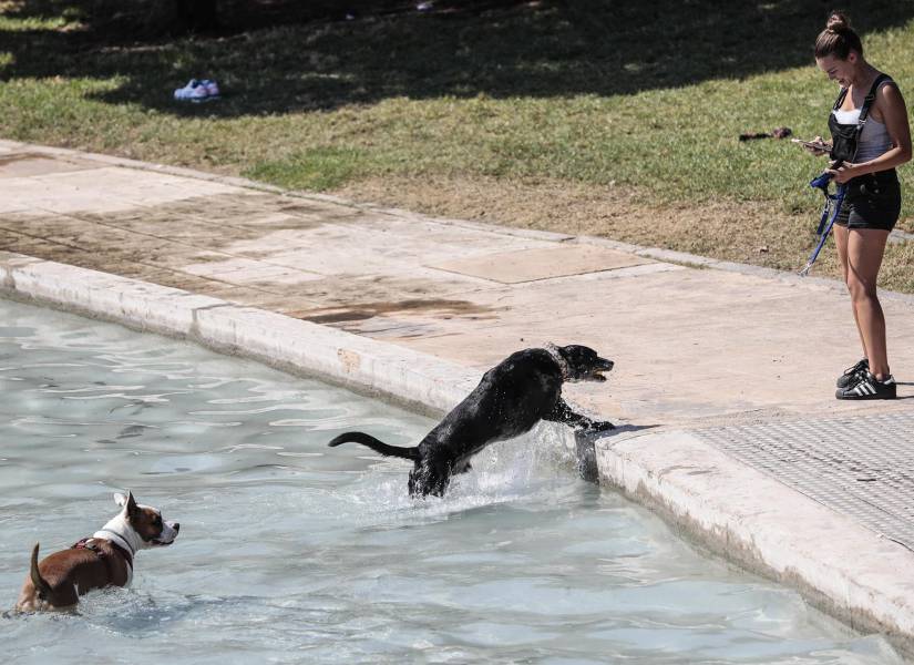 El intenso calor regresa a España con máximas por encima de 40 grados.