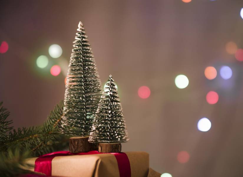 Decoración navideña sobre un regalo.