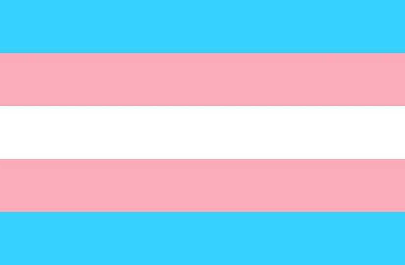 El diseño de la bandera del orgullo trans de 1999.