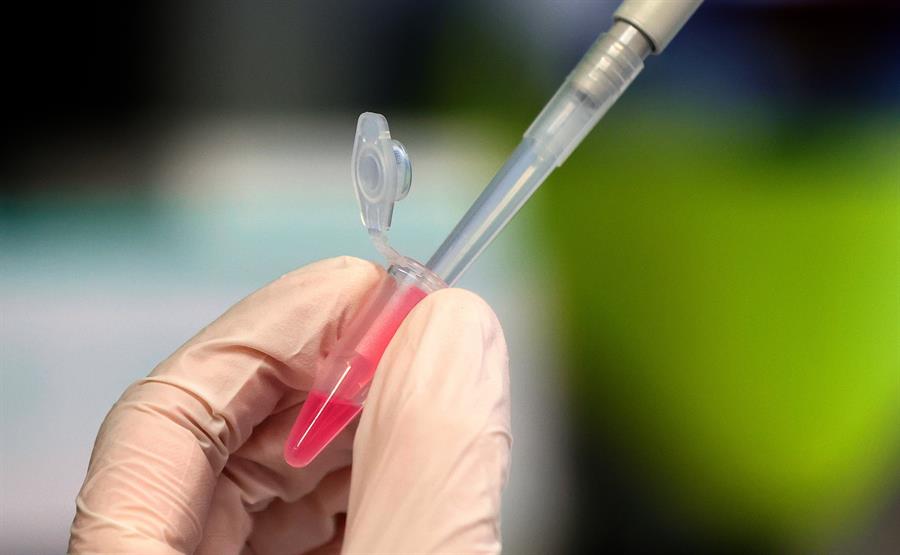 Oxford ya produce vacunas para venderlas en diciembre una vez testadas