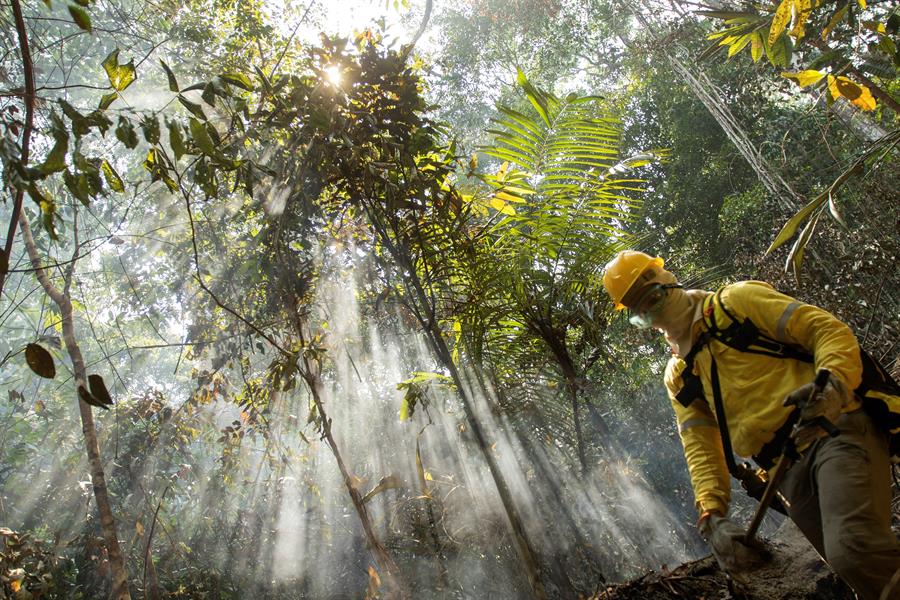 Indígenas se aíslan en la Amazonía bajo la amenaza del virus y la violencia