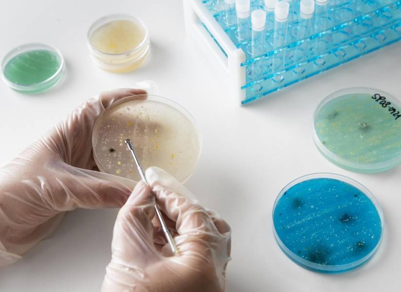 Persona realizando un estudio en un laboratorio