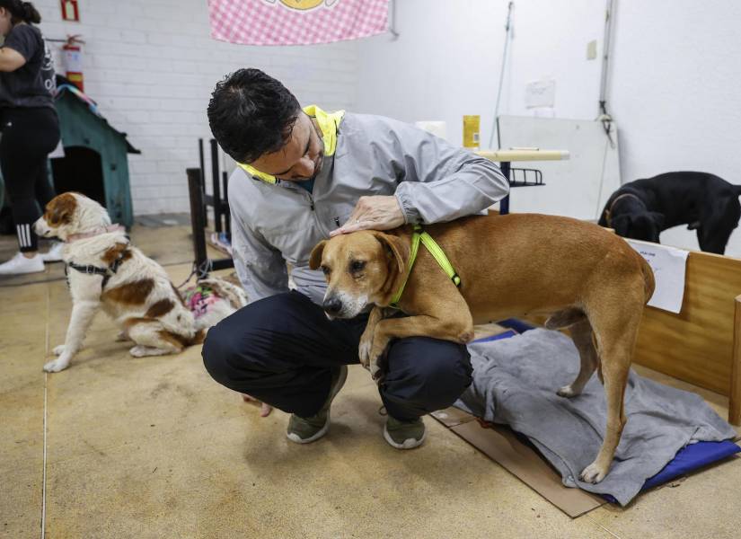 Un hombre acaricia a un perro rescatado de las inundaciones en Brasil.