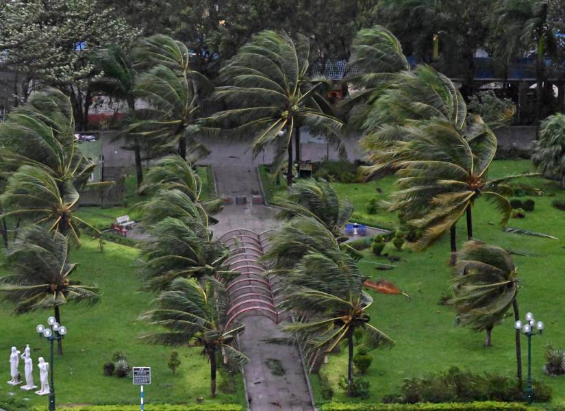 Los árboles vuelan tras la llegada del tifón Kalmaegi a tierra cerca de la playa de Quy Nhon en Vietnam