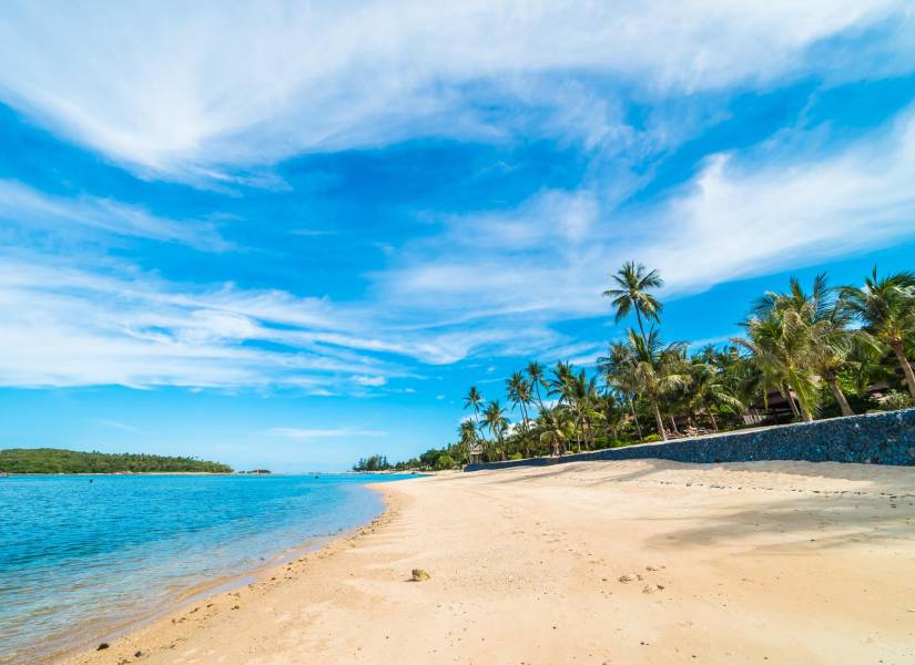 Mar y arena tropicales de la playa