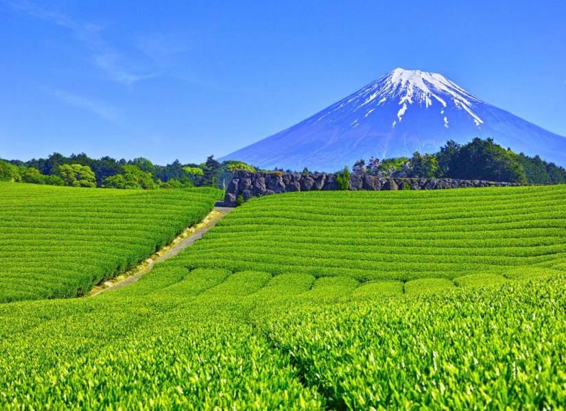 El Monte Fuji (Japón) forma parte del Cinturón de Fuego del Pacífico.