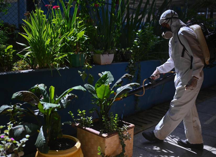 Brasil bate su récord histórico de casos de dengue con más de 1,88 millones de contagios