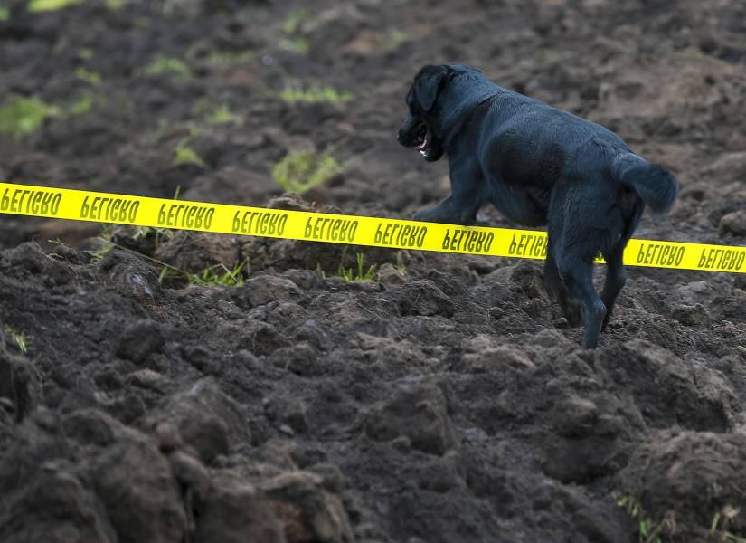 Jacob conmovió por su desesperación al intentar escarbar entre la tierra.