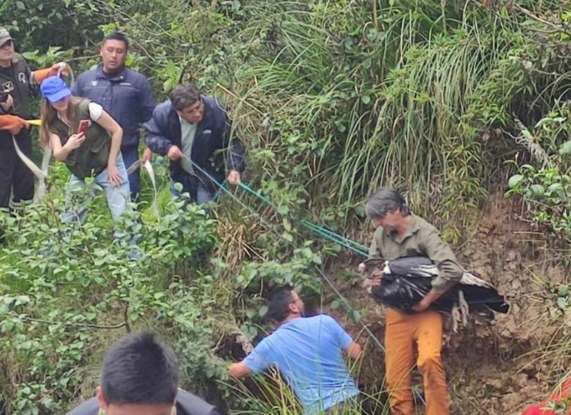 Cóndor rescatado en Cuenca.