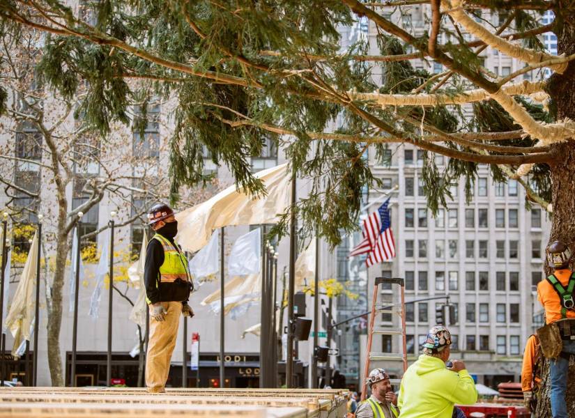 Personal de jardinería moviendo el árbol de Navidad de Rockefeller Center.