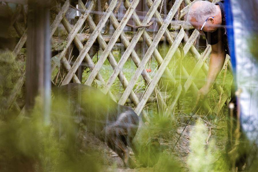 Policía excava parcela en relación con el &quot;caso Madeleine&quot;