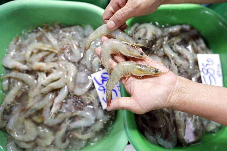 China suspende importación de camarones de Ecuador