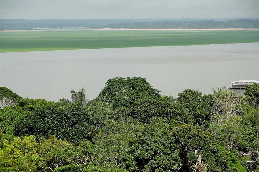 Francia financia proyecto para proteger millones de hectáreas en la Amazonía