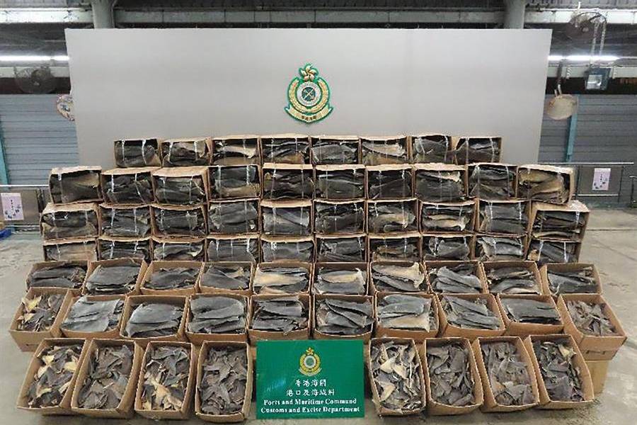 Fiscalía de Ecuador investiga cargamento de aletas de tiburón decomisado en Hong Kong