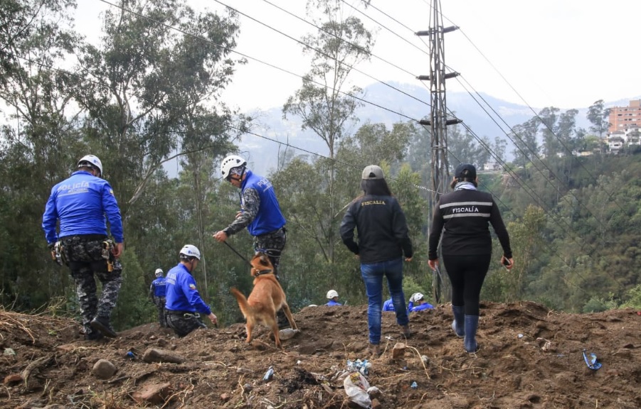 Continúa la búsqueda de Juliana Campoverde en Bellavista