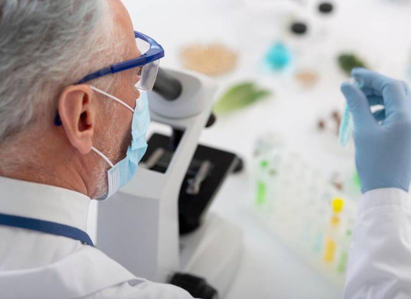 Imagen de referencia.