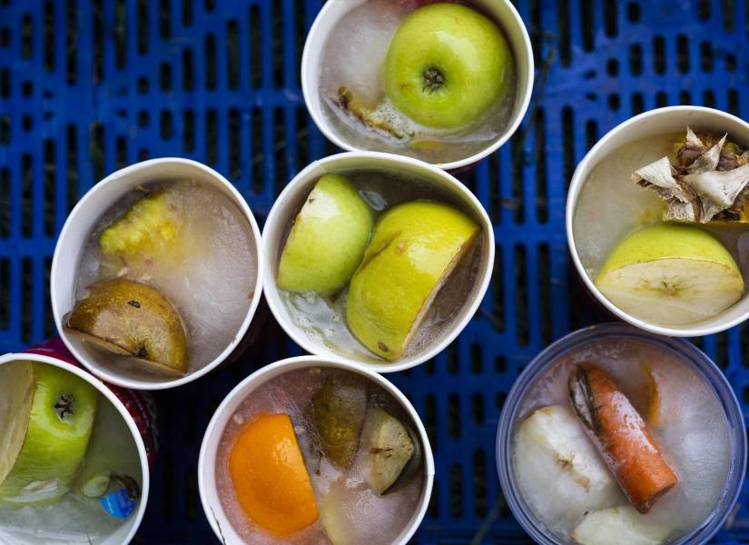 Varios recipientes de comida para osos pardos en el Zoo Aquarium de Madrid, a 12 de agosto de 2021, en Madrid, España.