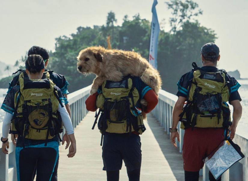 Escenas de la película Arthur: Una Amistad sin Límites.