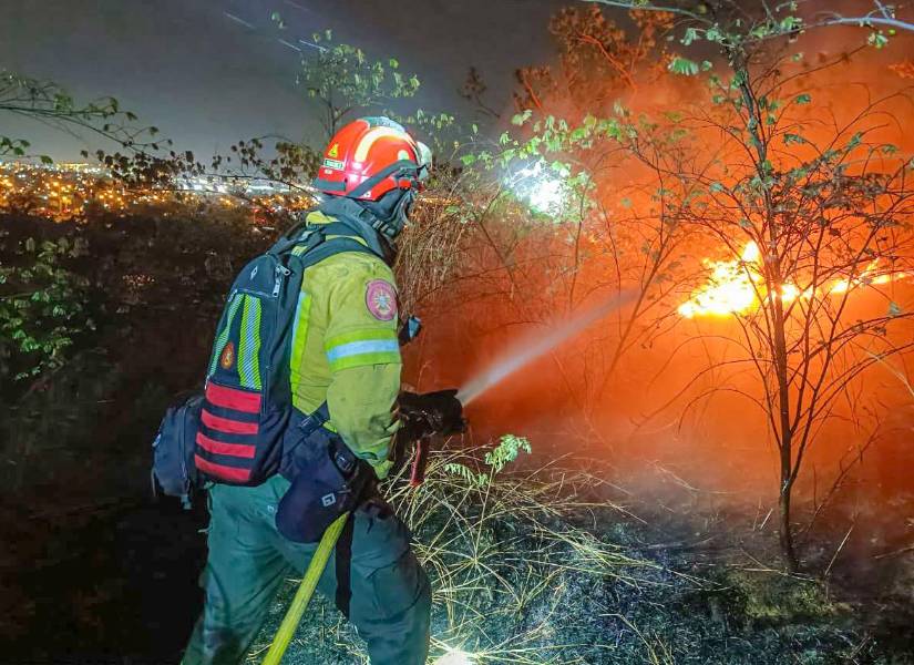 Las primeras alertas del incendio forestal ocurrieron alrededor de las 18:00 de este jueves.