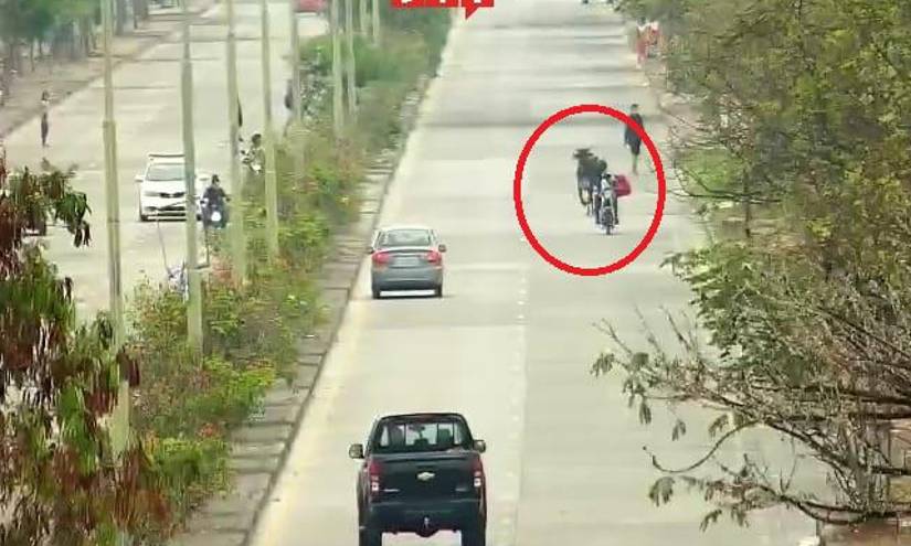 El animal avanzó hasta la avenida Paseo del Parque.