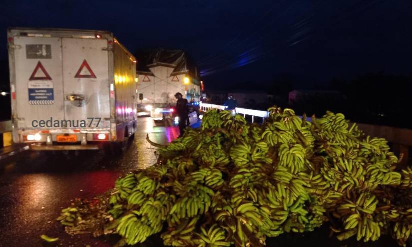 Según el gremio, la semana pasada se perdieron unos 25.000 empleos en el sector bananero.