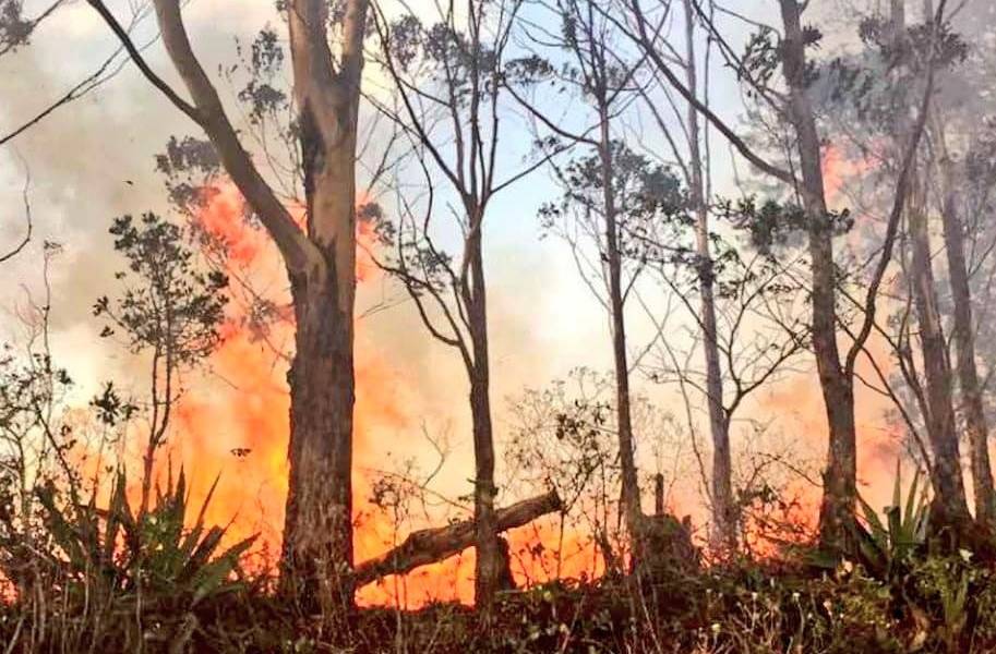 Emergencia en Quilanga por incendio forestal