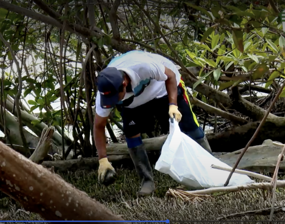 Adultos y niños reciben capacitaciones para cuidar el manglar. Una de las actividades es limpiarlo constantemente.