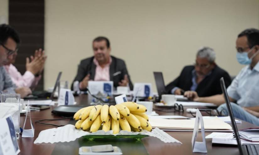 En la tercera jornada de la Mesa de Negociaciones, exportadores y productores fijaron en USD 6,50 el precio mínimo de sustentación (PMS) para la caja de banano de 43 libras.