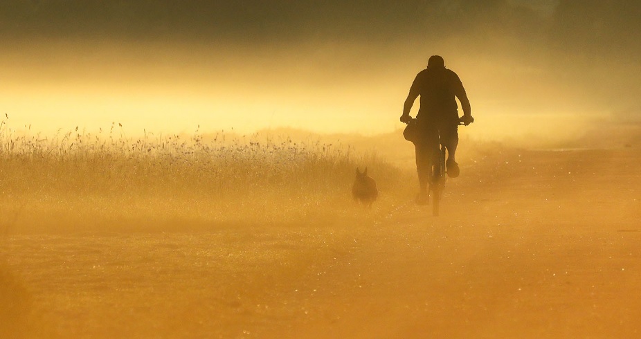 Últimos 5 años serán los más calurosos de la historia