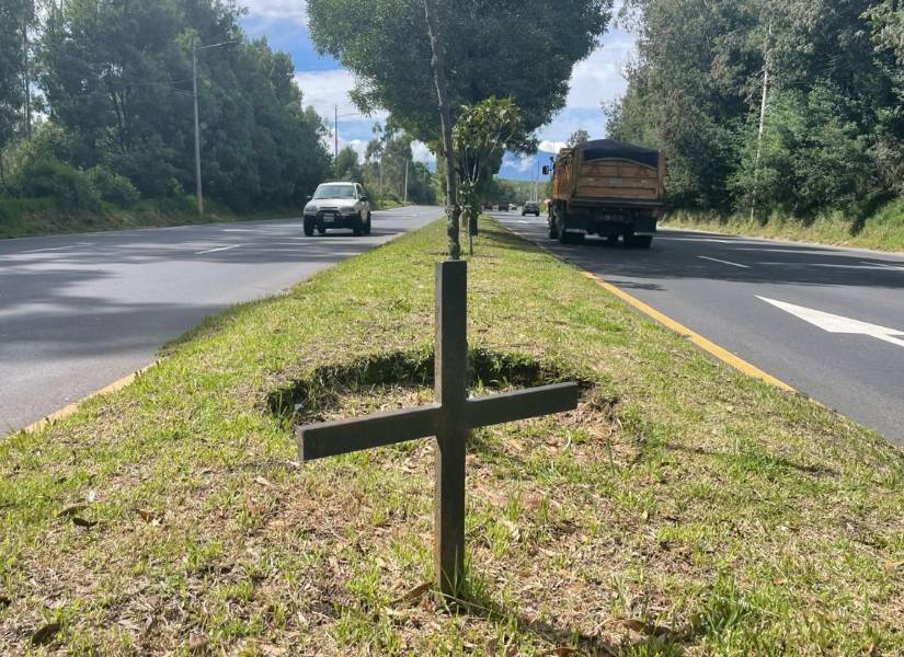 En medio del parterre, junto a la entrada del barrio El Conde 4.