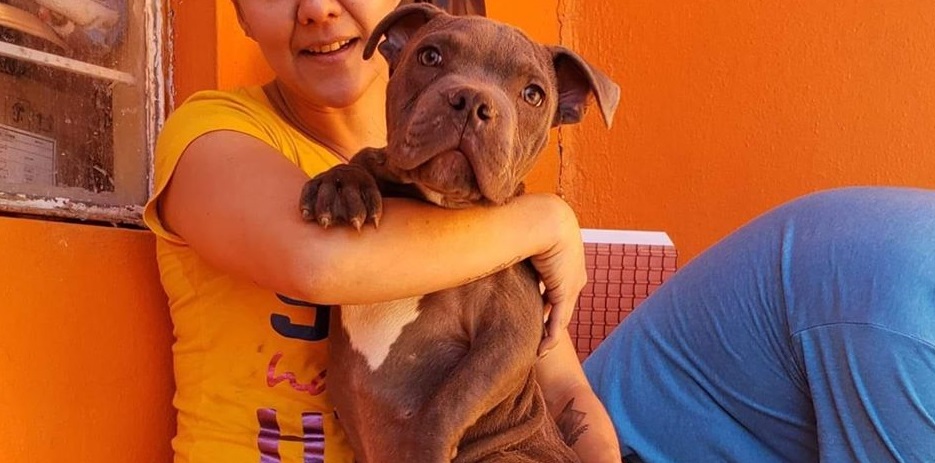 Niño deja a su perrito en refugio para salvarlo del maltrato de su padre