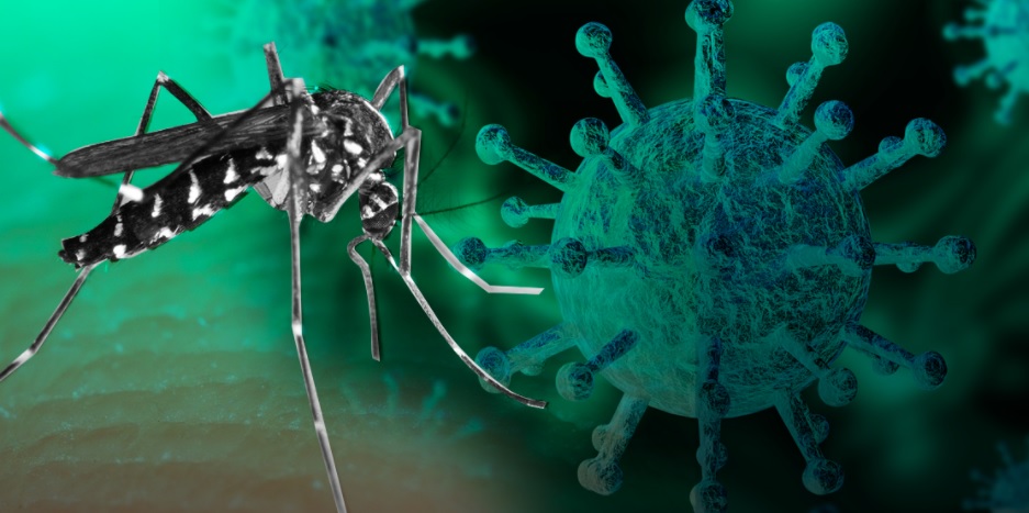 Lluvias aumentarán casos de dengue y complicarán pandemia