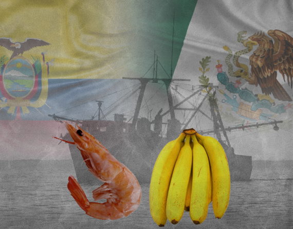 Según datos del Banco Central del Ecuador, entre enero y mayo de 2022, Ecuador ha exportado 421 millones de toneladas de camarón y 2 934 toneladas de banano.