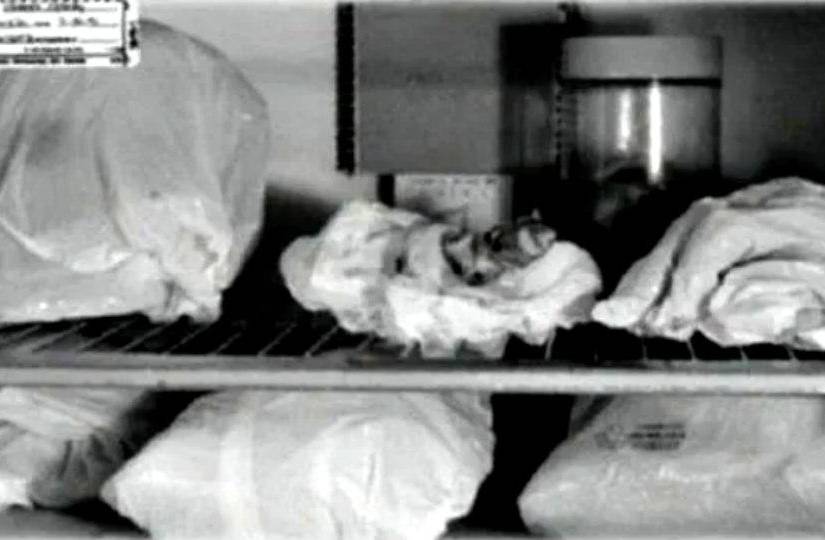 Restos encontrados en la residencia de Jeffrey Dahmer.