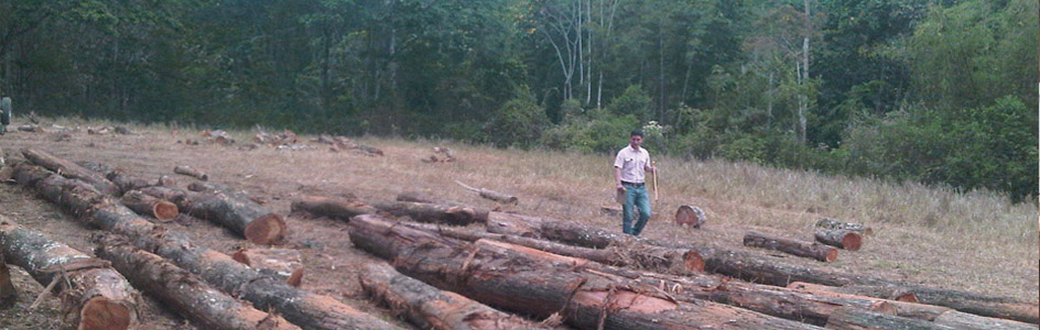 Embargan hacienda Clementina, propiedad de Álvaro Noboa