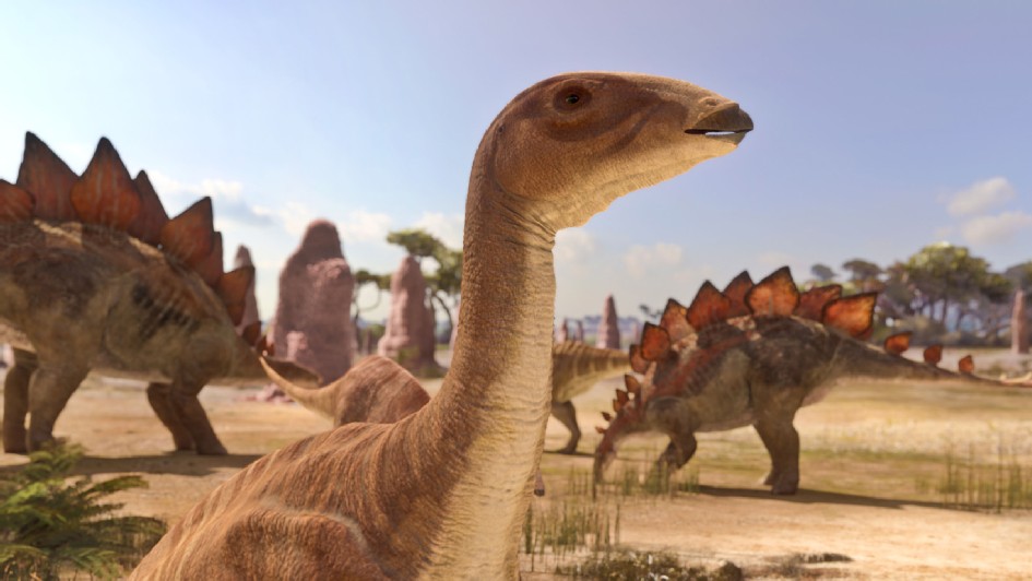 Descubren gigantesco retrete de dinosaurios en Argentina