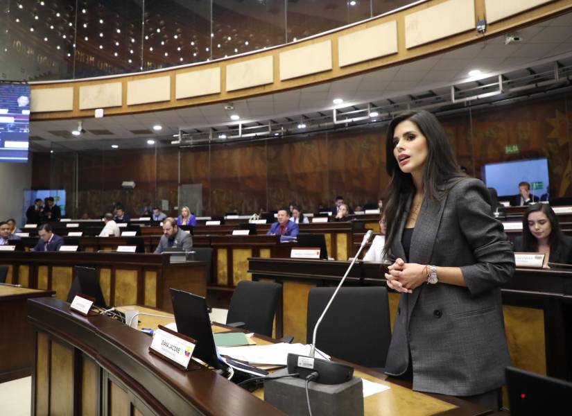 Diana Jácome, quien impulsa la reforma al COIP, en el Pleno de la Asamblea.
