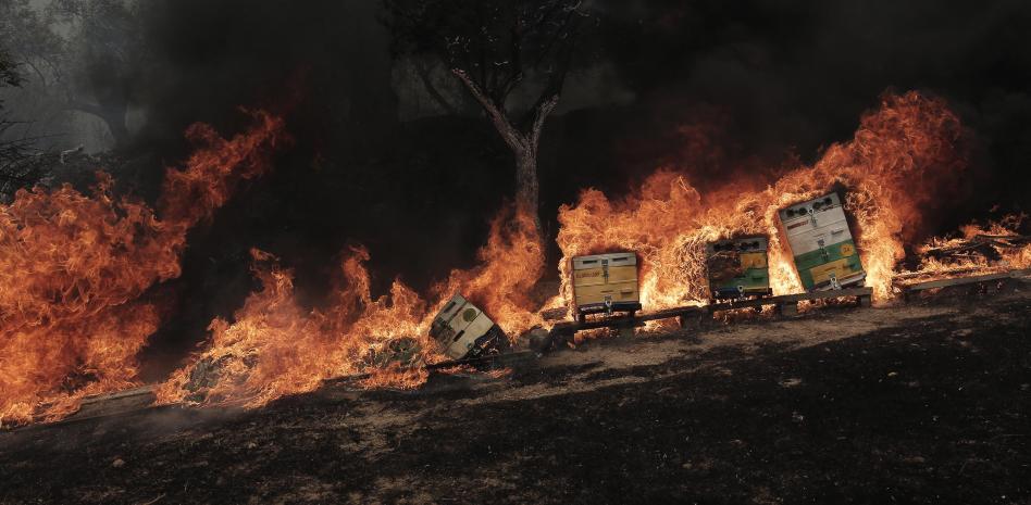 27 inmigrantes mueren quemados por las llamas de un incendio en Grecia