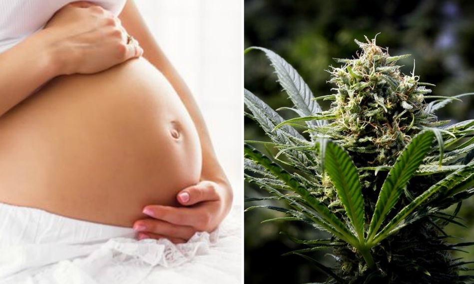 EEUU: Se duplica el uso de marihuana en el embarazo