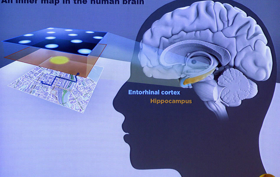 Descubridores del &quot;GPS del cerebro&quot; ganan Premio Nobel de Medicina 2014