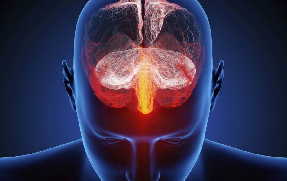 ¿Son realmente tan diferentes los cerebros de hombres y mujeres?