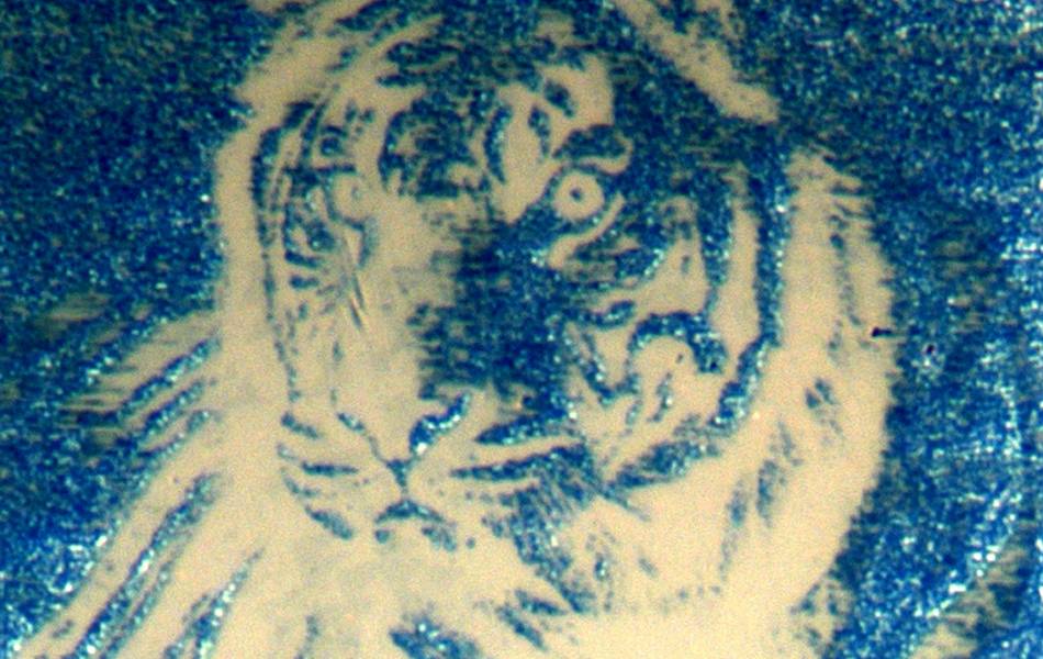 Pantalla ultradelgada y flexible promete imágenes de altísima definición